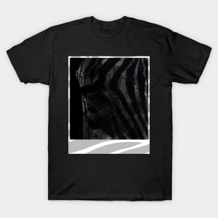 Zebra's Polaroid T-Shirt